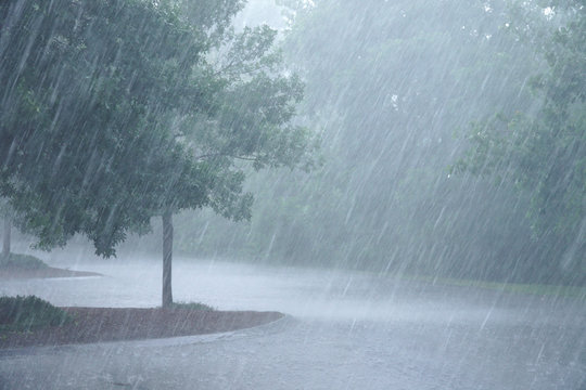 Heavy rainfall expected till the 8th; intense rain likely in upstream areas as well, SRC alerts all district collectors.